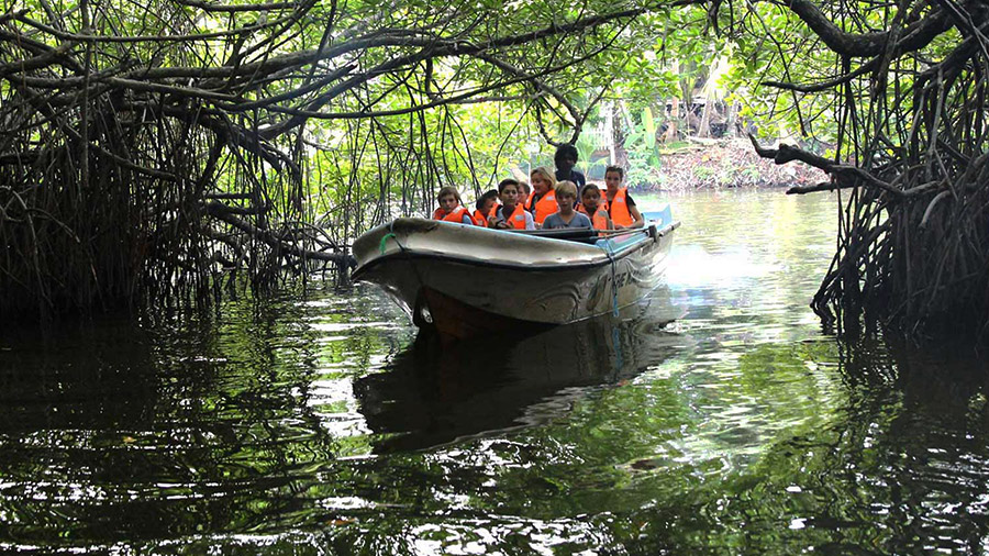 Madu river