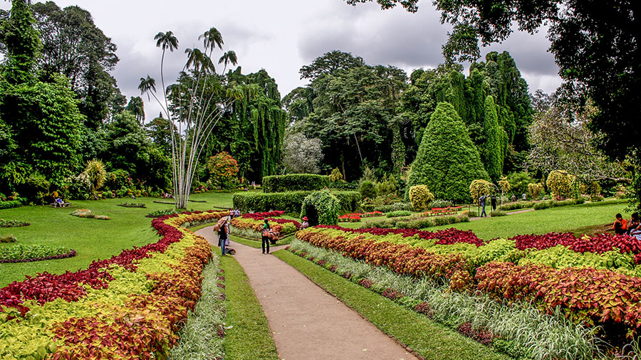 Royal botanical garden