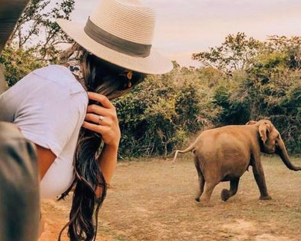 Essense of Sri Lanka (Culture & Beach)